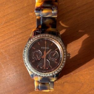 Tortoise fossil watch